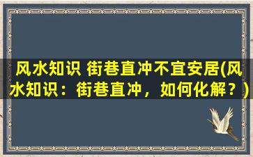 风水知识 街巷直冲不宜安居(风水知识：街巷直冲，如何化解？)